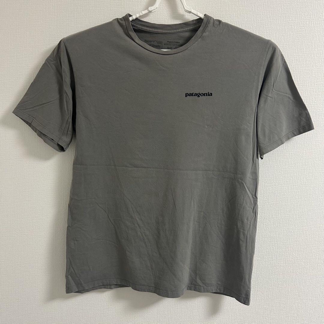 USA製 Patagonia トラウト Tシャツ M ライトグレー フィッシュ patagonia パタゴニア Tシャツ 魚 トラウト グレー Mビッグ