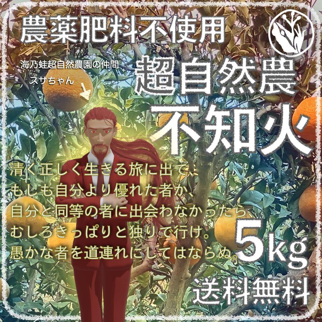 あさきゆめみし : 高塚省吾画集 : venon.de