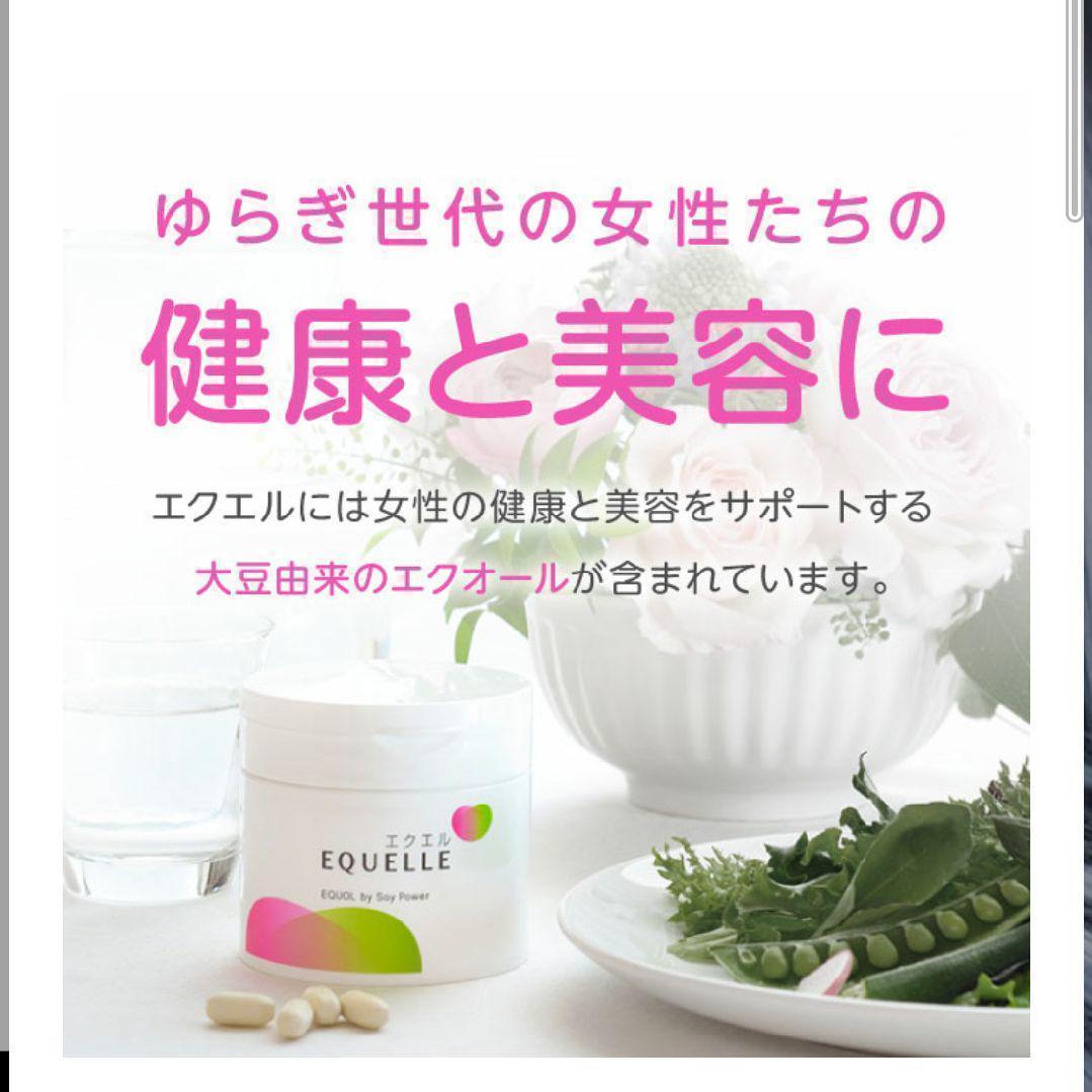 新品】大塚製薬 エクエル EQUELLE パウチ 120粒 約30日分×3袋