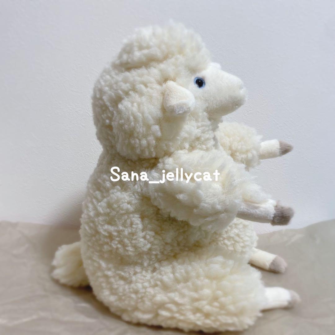 sheep