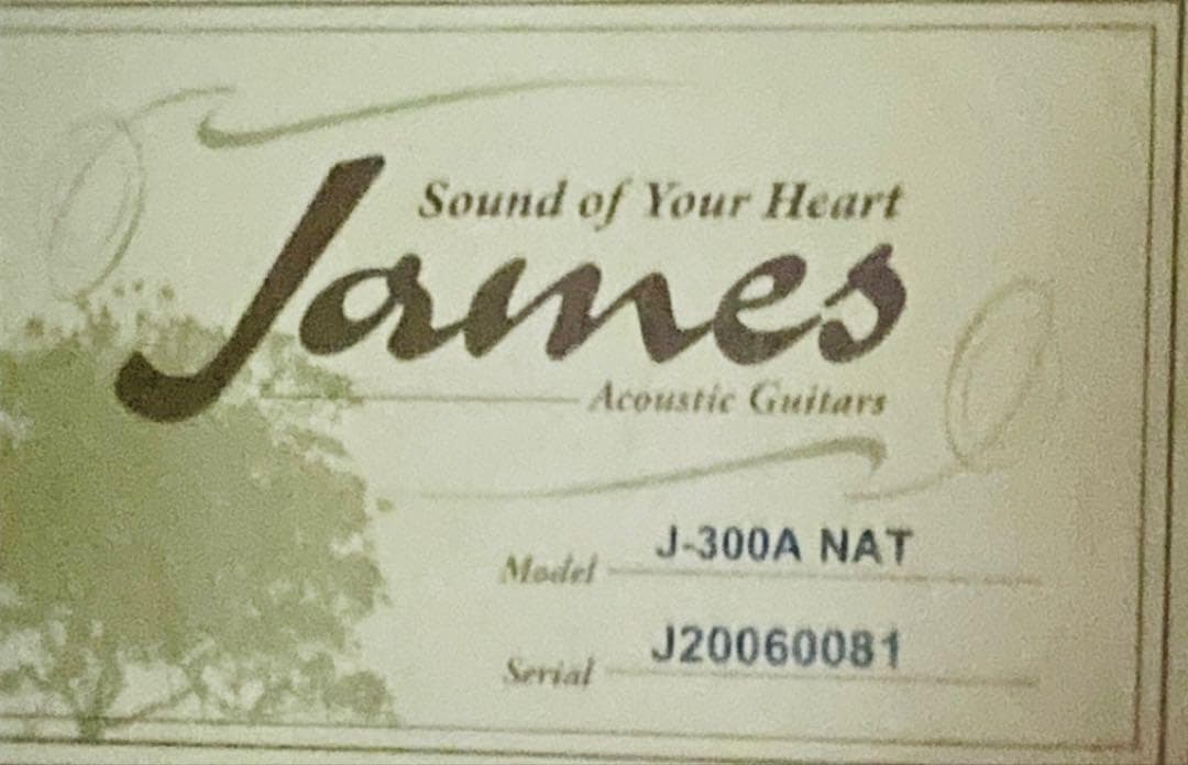 美品 James J-300A NAT アコース ティック ギター ジェームス 美品 James J-300A NAT アコース ティック ギター ジェームス