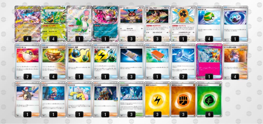 シティリーグ優勝多数!!】大空洞型 タケルライコex 構築済み