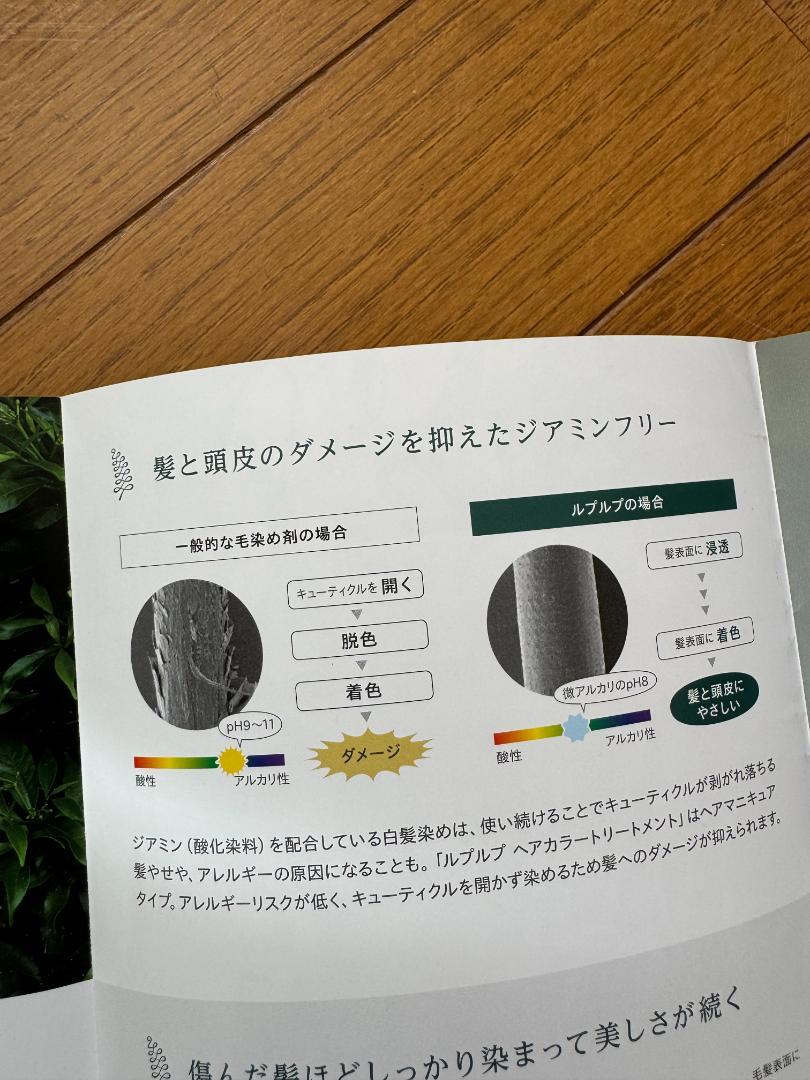 LPLP白髪染めソフトブラック2本セット（ルプルプ公式サイトの正規購入品）｜