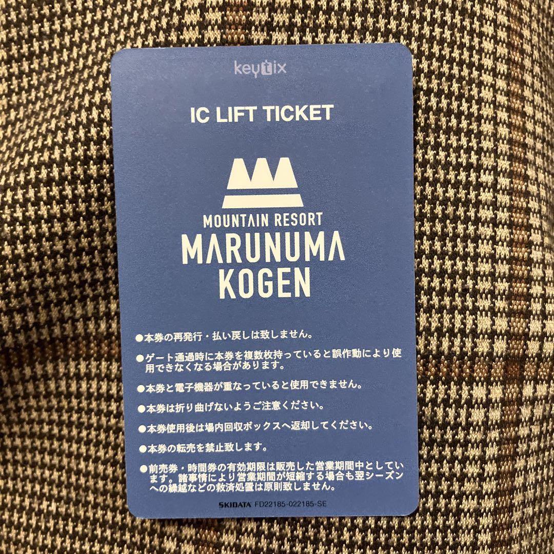 POWDER4 リフト券 20時間券1枚 丸沼 川場 宝台樹 スキー場