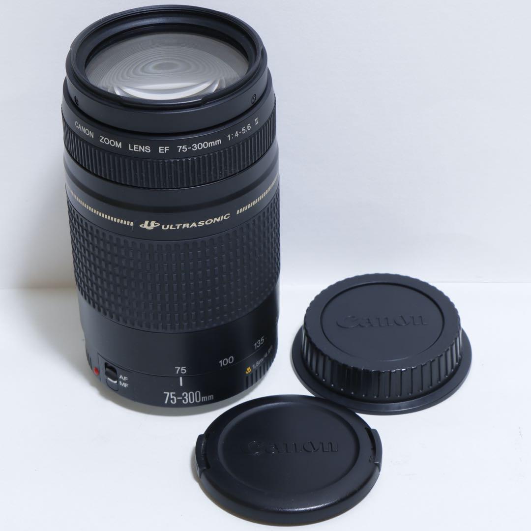 ◇超望遠&高速AF◇Canon純正 75-300mm I 超望遠レンズ!!◇ ◇超望遠&高速AF◇Canon純正 75-300mm II 超望遠レンズ!!◇