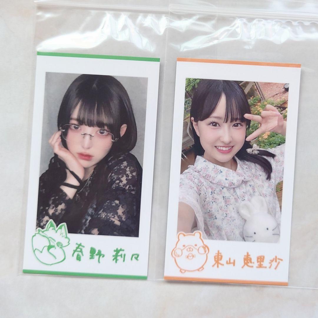 【期間限定送料無料】 春野莉々さん チェキ アイドル
