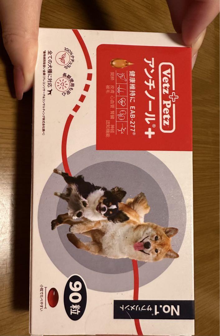アンチノール63粒