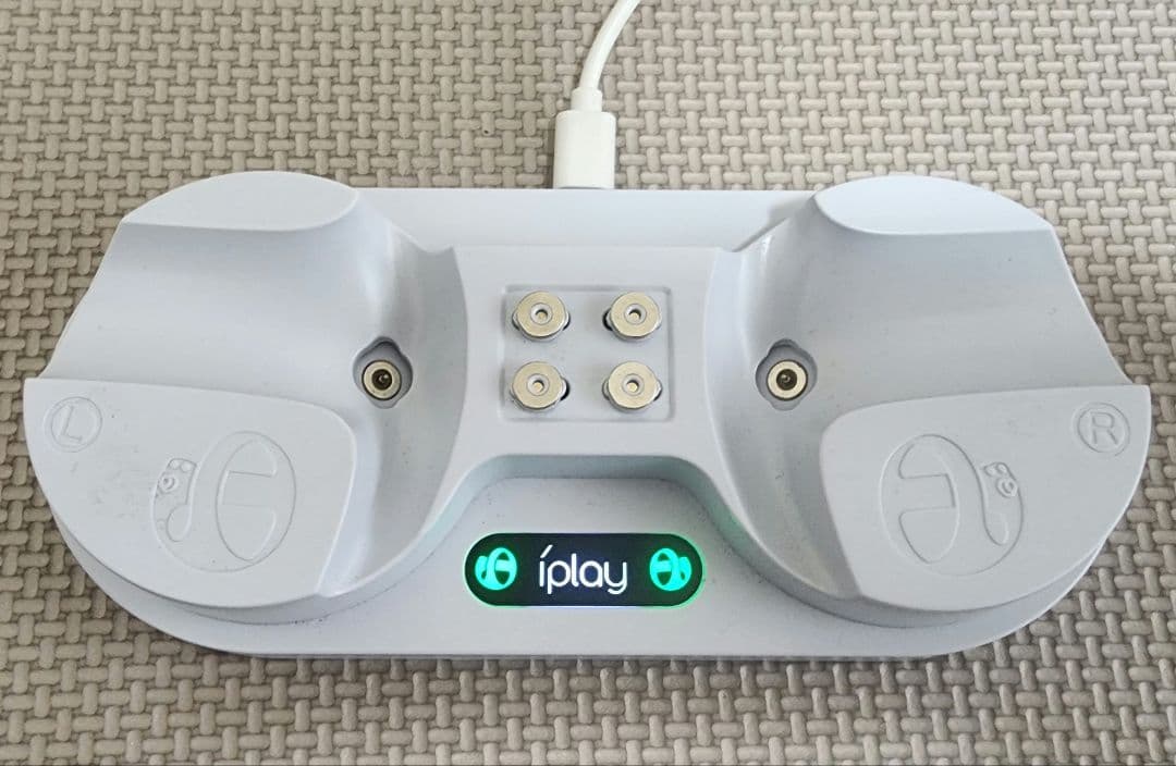 その他付属品目立った傷や汚れなし