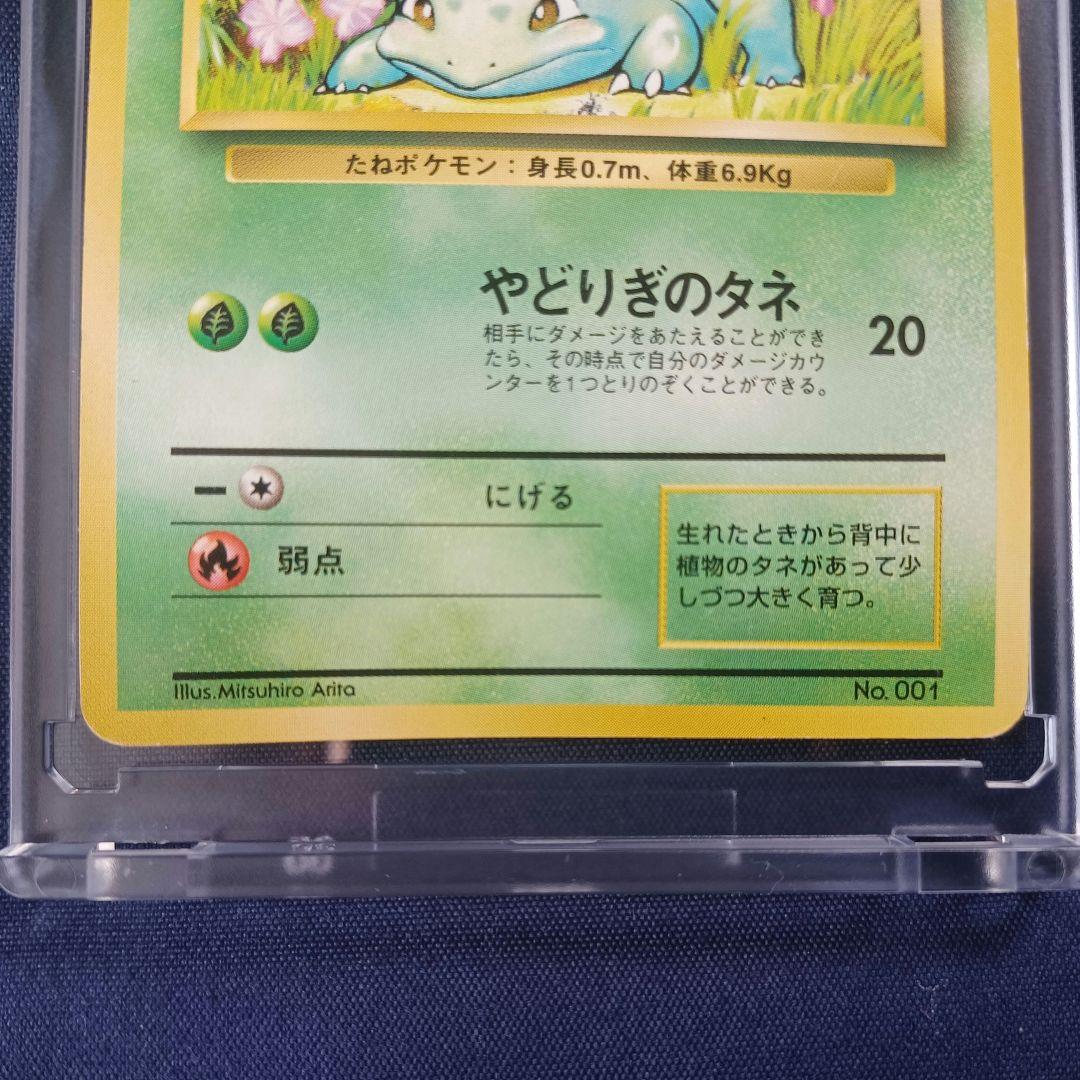 旧裏　マークなし　初版　ポケカ　御三家　フシギダネ　ヒトカゲ　ゼニガメ