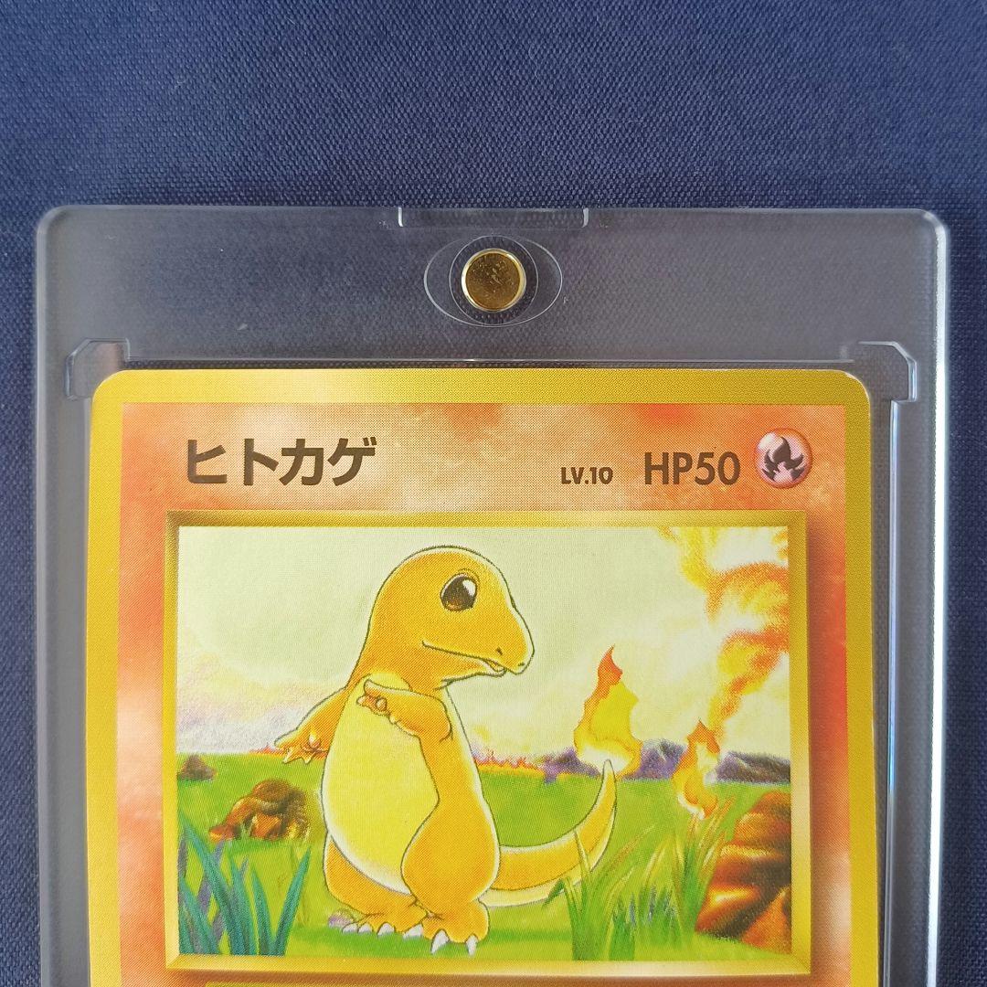 旧裏　マークなし　初版　ポケカ　御三家　フシギダネ　ヒトカゲ　ゼニガメ