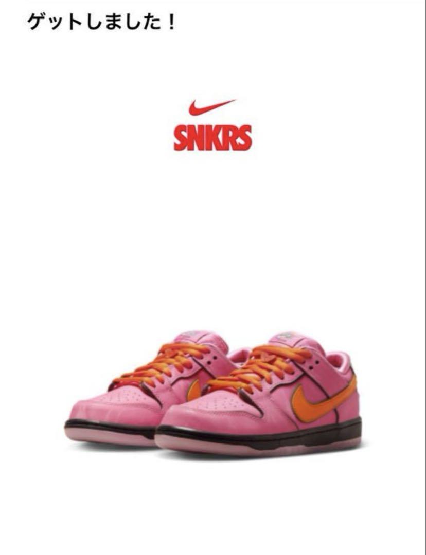 【23.5】Nike SB Dunk Low Pro