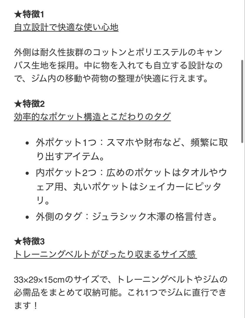 ジュラシック木澤　バッグ　新品未使用