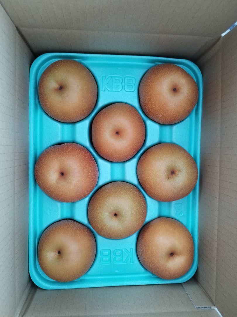 家庭用　あきづき梨　3kg ６玉〜９玉　2箱