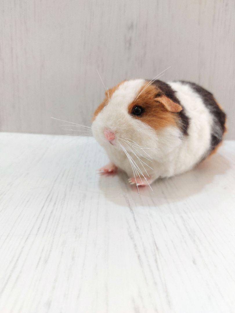 羊毛フェルト　モルモット