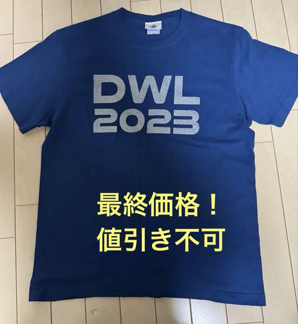 DREAMS COME TRUEワンダーランド2023TシャツMサイズ京セラ限定
