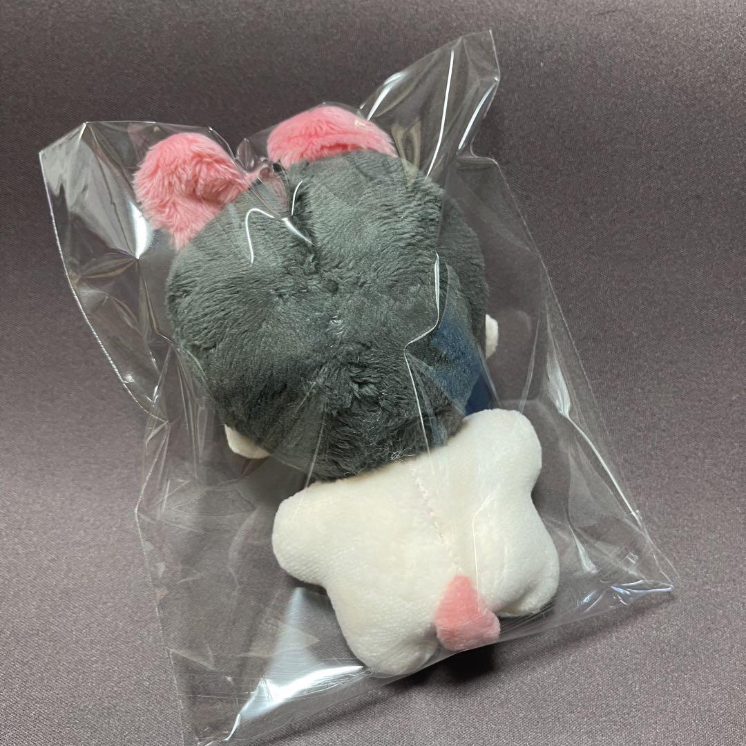 stray kids チャンビン ぬいぐるみ 10cm 新品 マスター - メルカリ