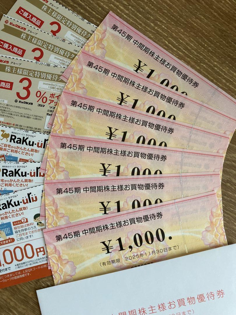 ビックカメラ コジマ お買物優待券 6,000円分