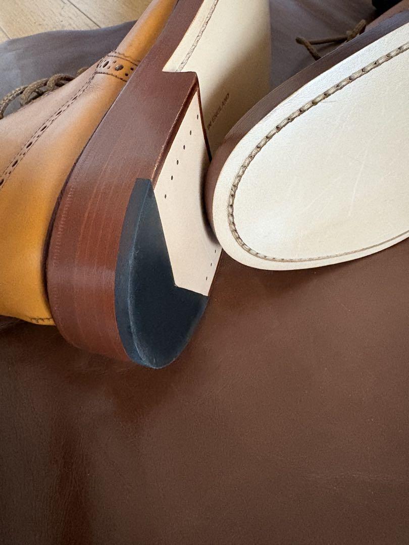 Gladiolus 　UK7.5 Tricker's トリッカーズ