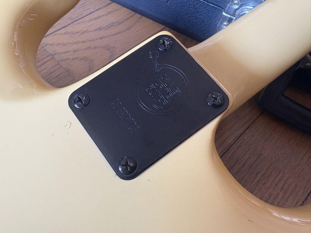 ギター Valley Arts M-series
