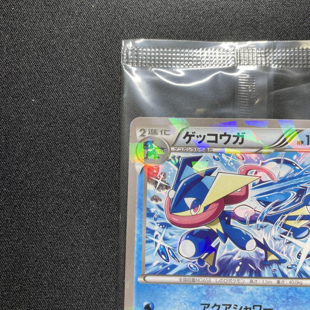 ポケカ ゲッコウガ プロモ 209/XY-P 未開封 - メルカリ ポケカ ゲッコウガ プロモ 209/XY-P 未開封 - メルカリ