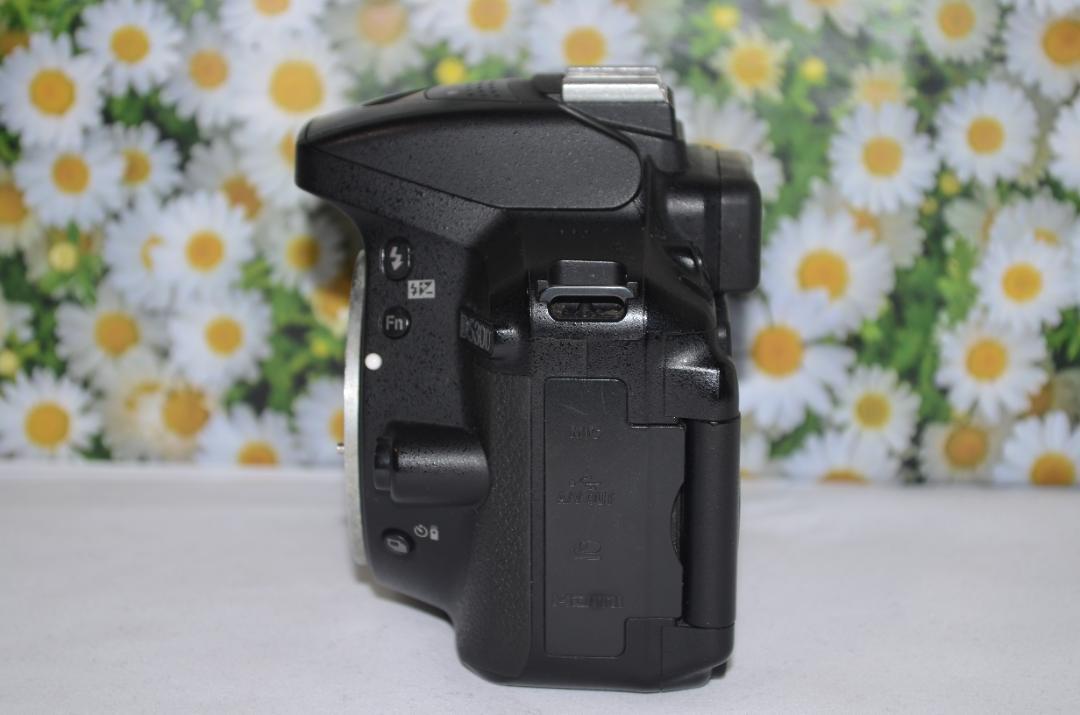 ❤️初心者おすすめ❤️WI-Fi &自撮り❤️Nikon D5300 ❤️初心者おすすめ❤️ニコン Nikon D5300❤️WI-Fi &自撮り