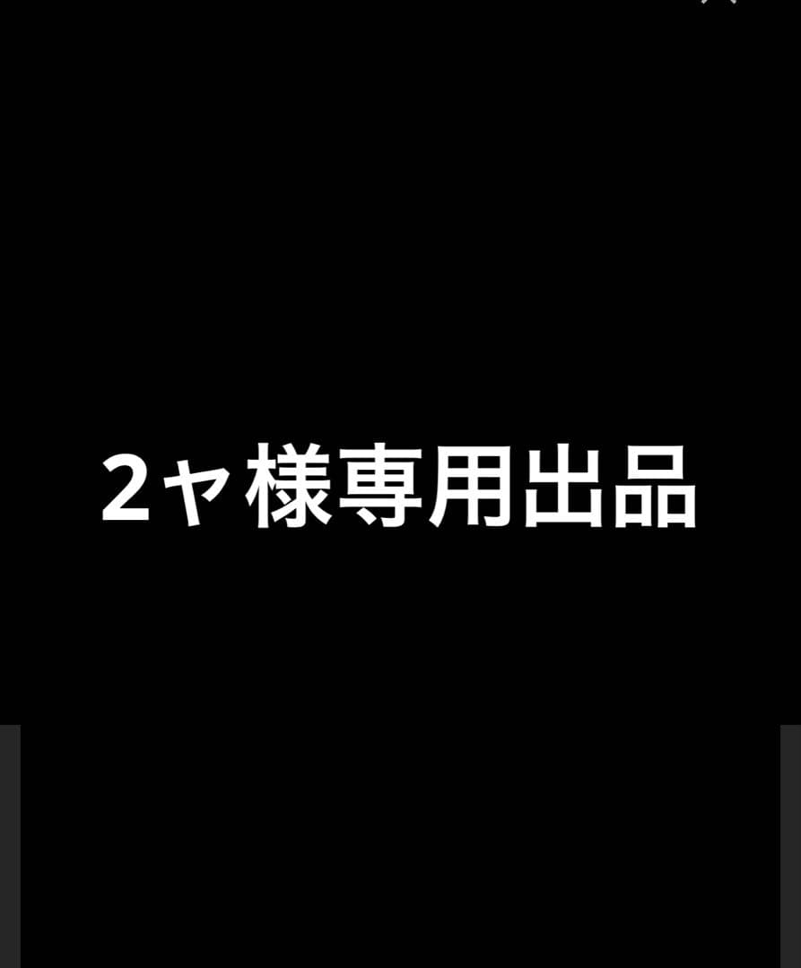 2ャ様専用出品