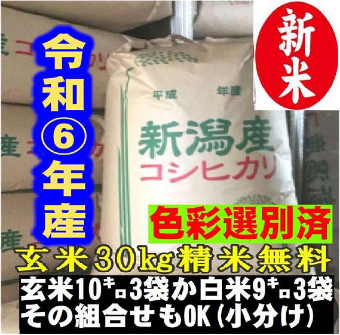 新米　令和6年産新潟コシヒカリ30kg（10k×3）精米無料★農家直送色選済06