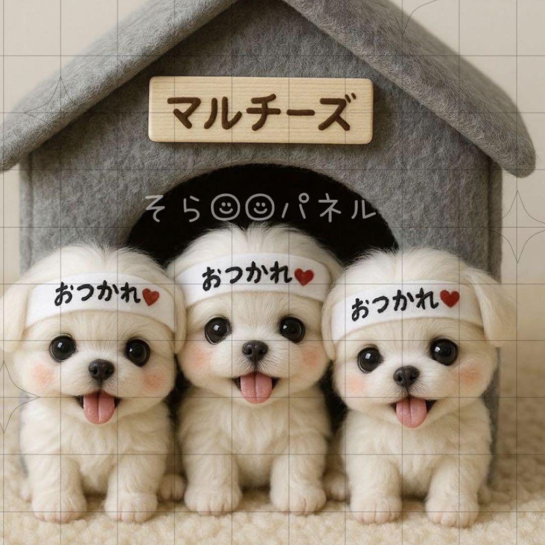Misaki様 専用