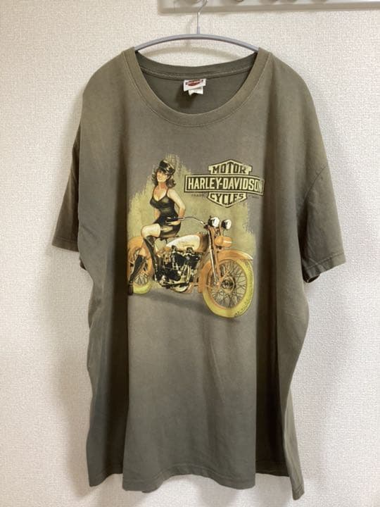 Tシャツ ハーレーダビッドソン ピンナップガール USA 古着 両面