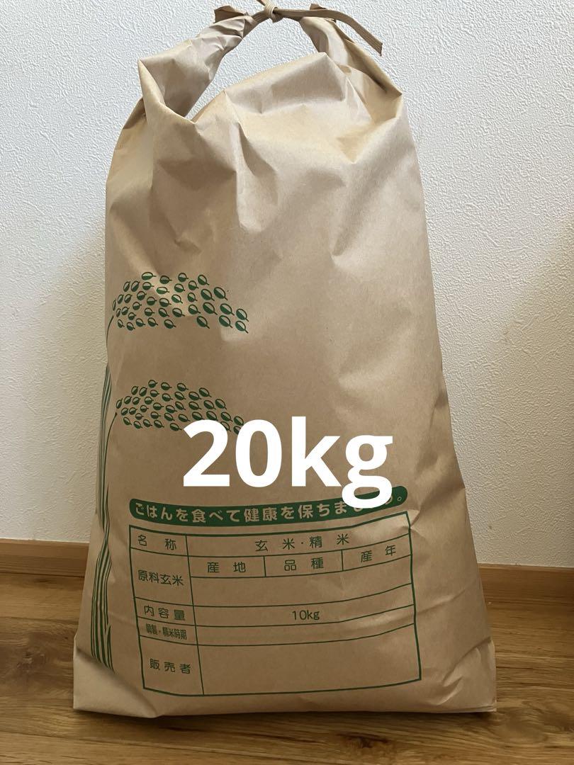 お米　20kg 佐賀県産　天使の詩
