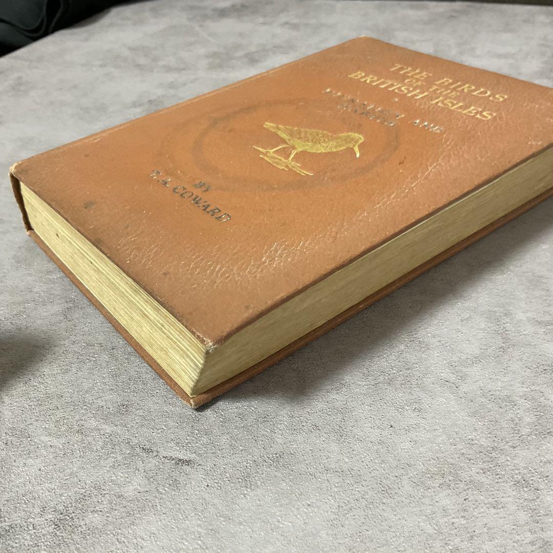 1910年代 イギリスの鳥図鑑　鳥の図鑑　ヴィンテージ 1910年代 イギリスの鳥図鑑 鳥の図鑑 ヴィンテージ