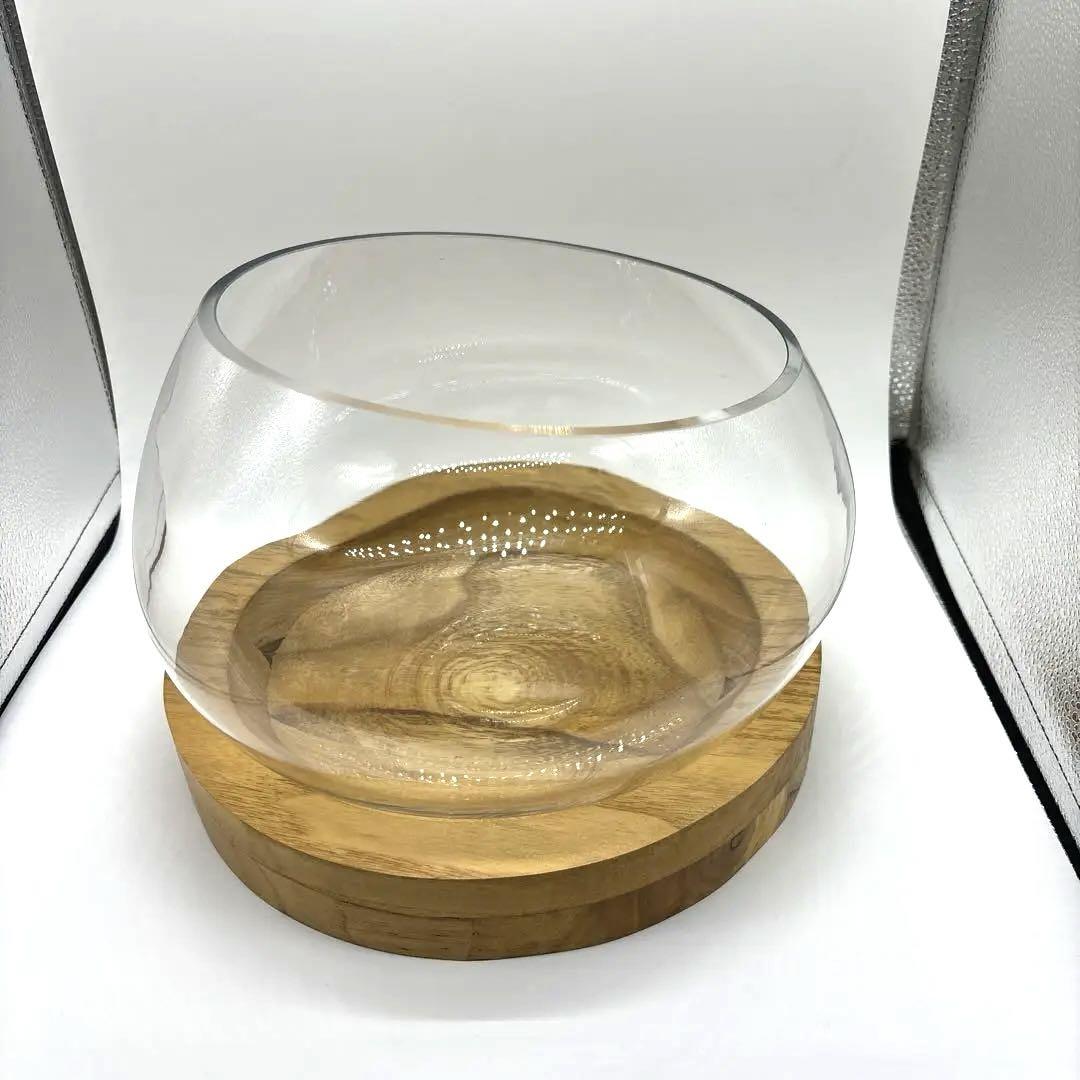 クリアガラスボウルと木製専用プレート フルーツボウル グリーンインテリア 美品