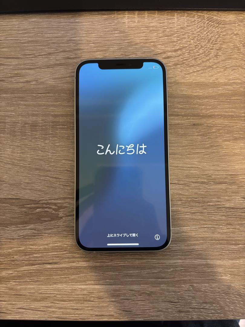 Apple iPhone 12 ミントグリーン 本体　128GB 残価無 Apple iPhone 12 ミントグリーン 本体 128GB 残価無