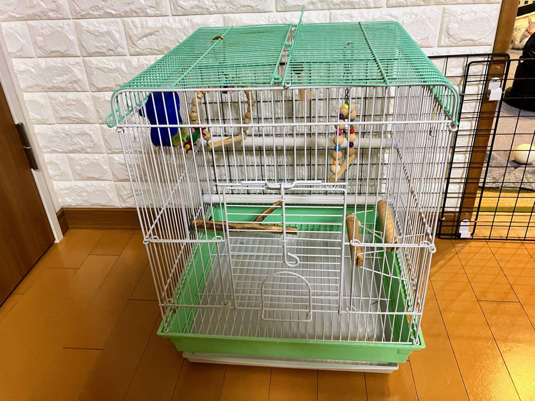 【送料無料】★鳥かご『バードパレスパーム L 』★付属品、おもちゃ付き