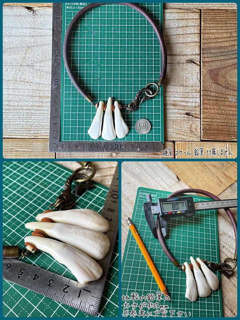 ネックレス・ペンダント a-58 Buffalo Teeth / Wild life Necklace