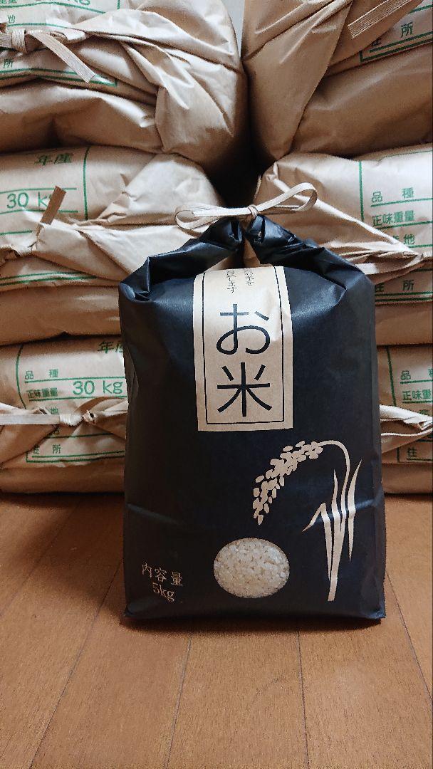 コシヒカリ　減農薬　10キロ
