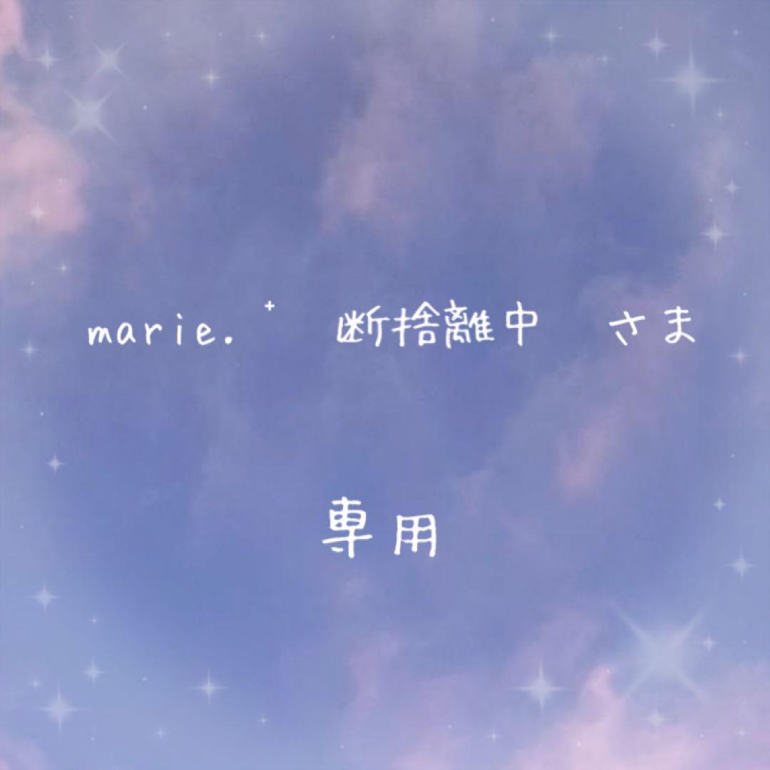 専用ページ