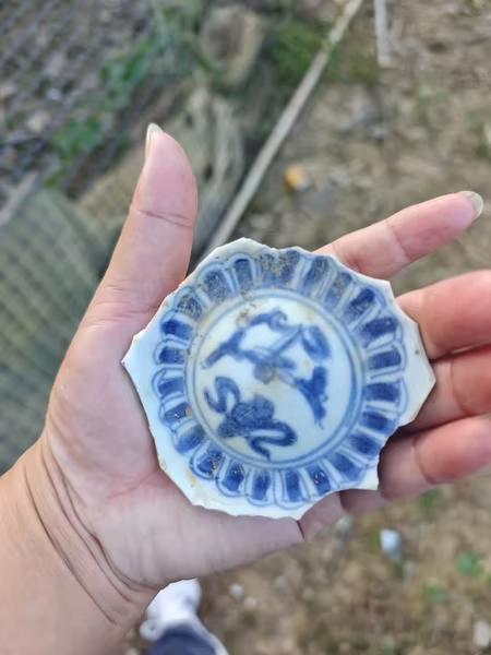 青白い陶器の八角形皿の一部陶芸道具・材料