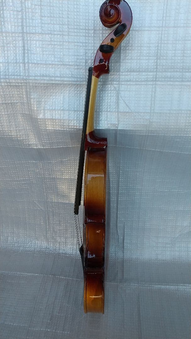 バイオリン ハードケース 弦楽器 | teiva.com.br