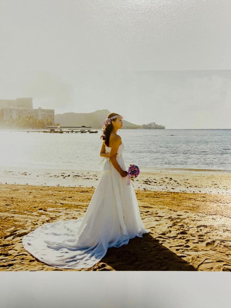 ウェディングドレス　アロヒナ　alohina 定価15万円