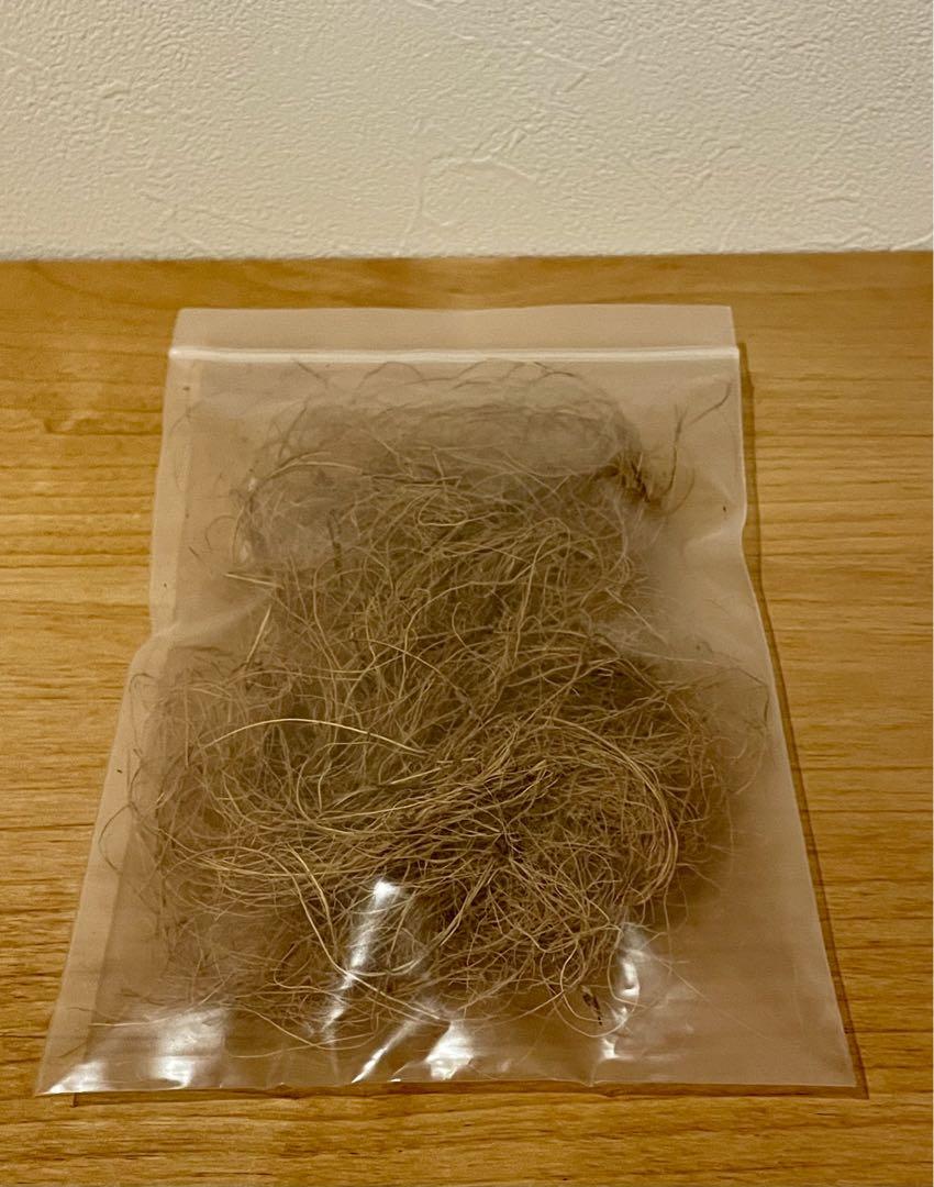 リアルな人工ツバメの巣☆ハンドメイド☆壁付けタイプ未使用品