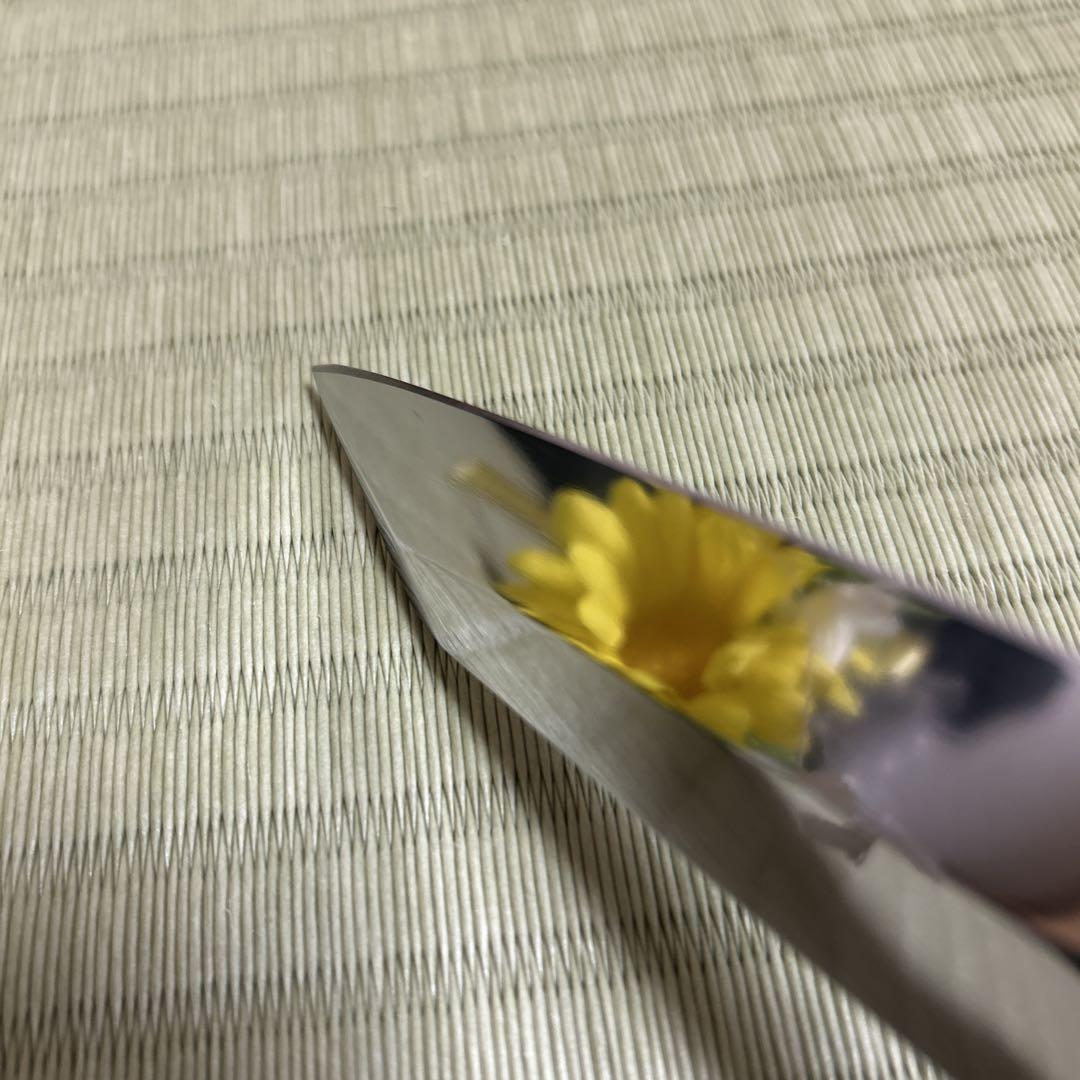 九寸　切り付け　柳刃　包丁　和包丁　V金10号　本焼　黒檀　白水牛　鏡面仕上げ