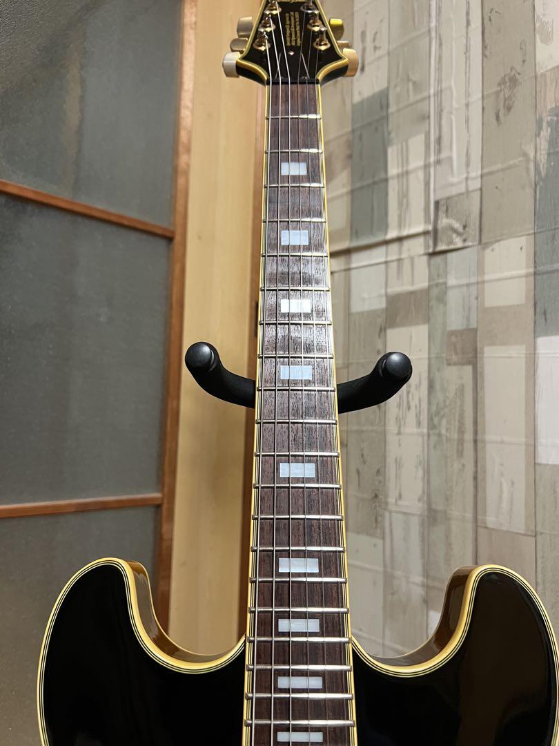 Aria Pro II TA-03 セミアコ アリアプロ ソフトケース付き