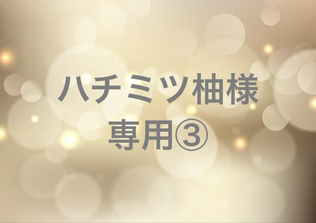 ハチミツ柚③