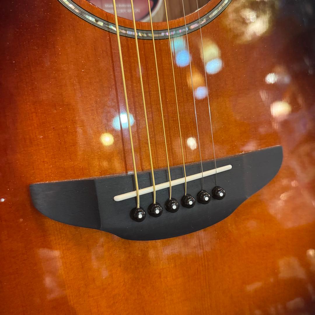 E196 ヤマハ APX600 アコースティックギター エ コ ソフトケース付YAMAHA WWW_OLIVIERBERNSTEIN_COM