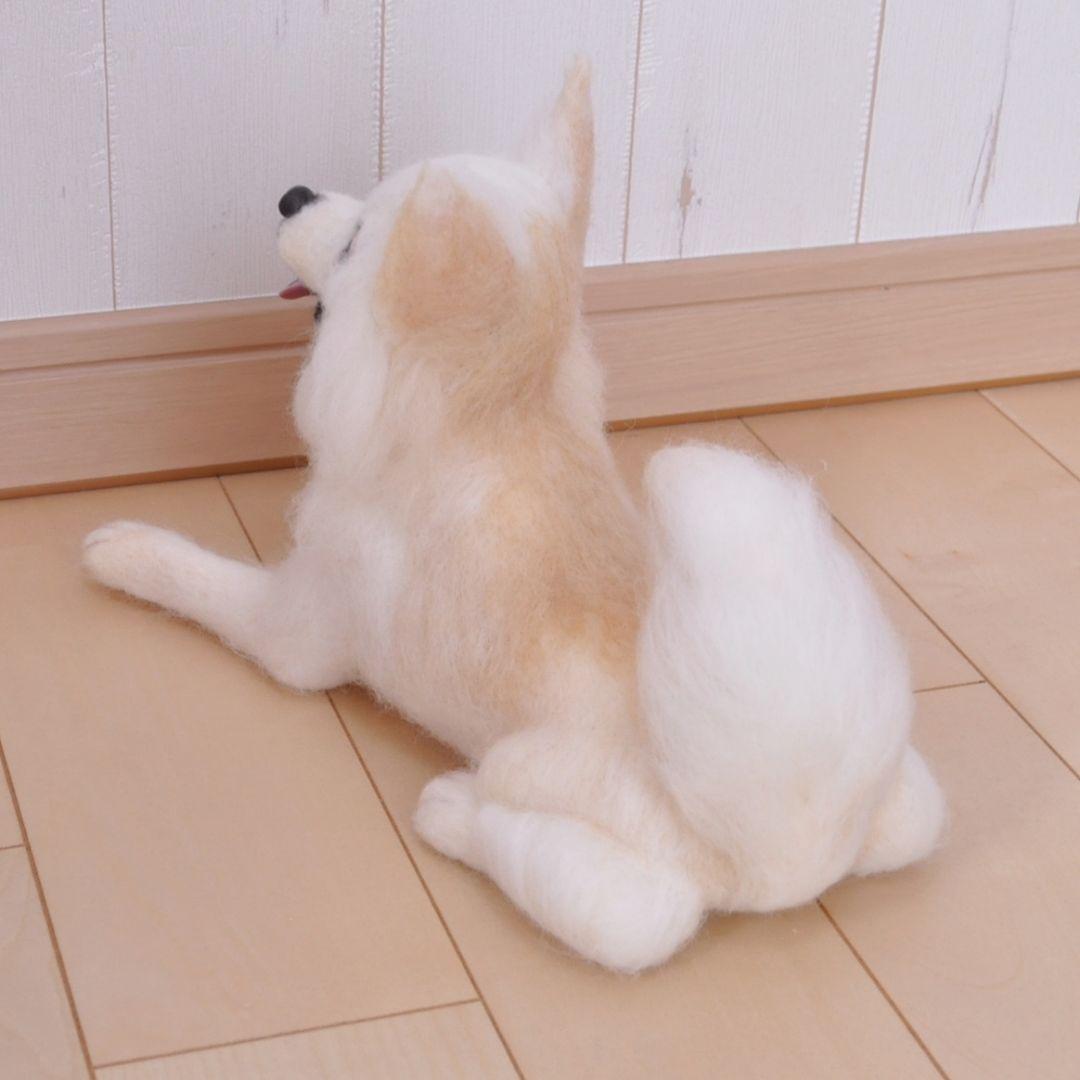 送料無料♡伏せをするチワワ