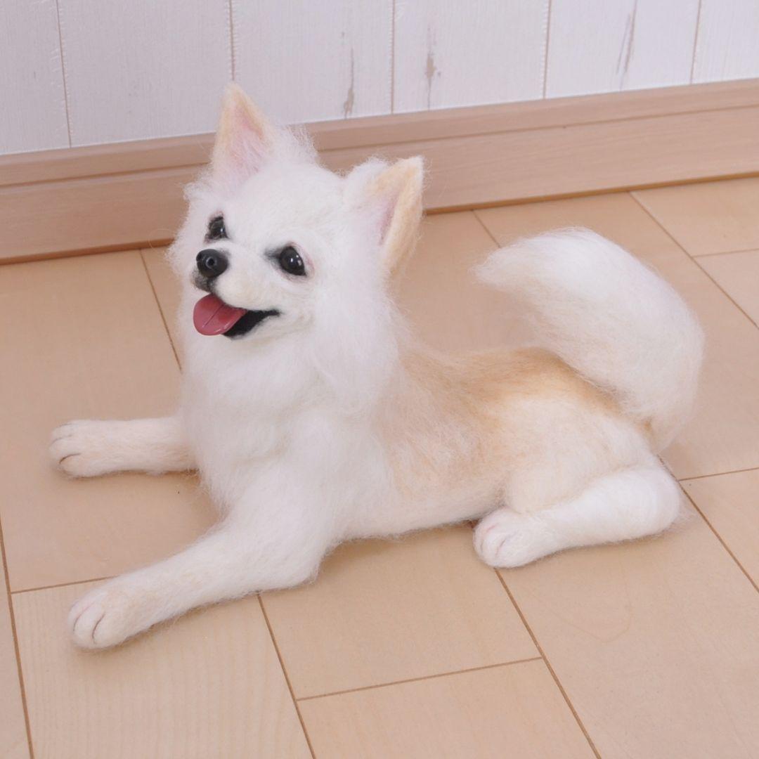 送料無料♡伏せをするチワワ