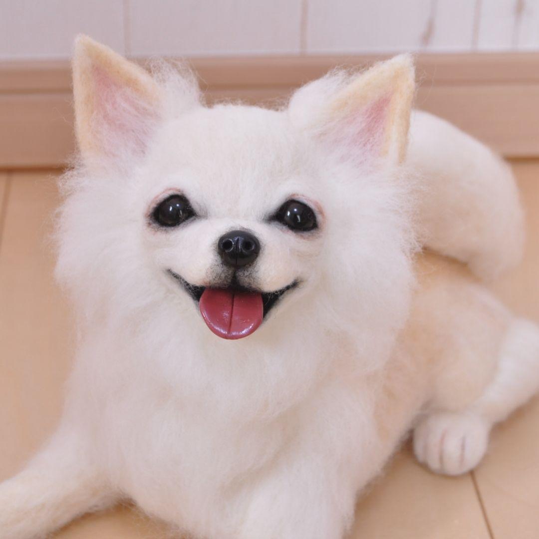 送料無料♡伏せをするチワワ