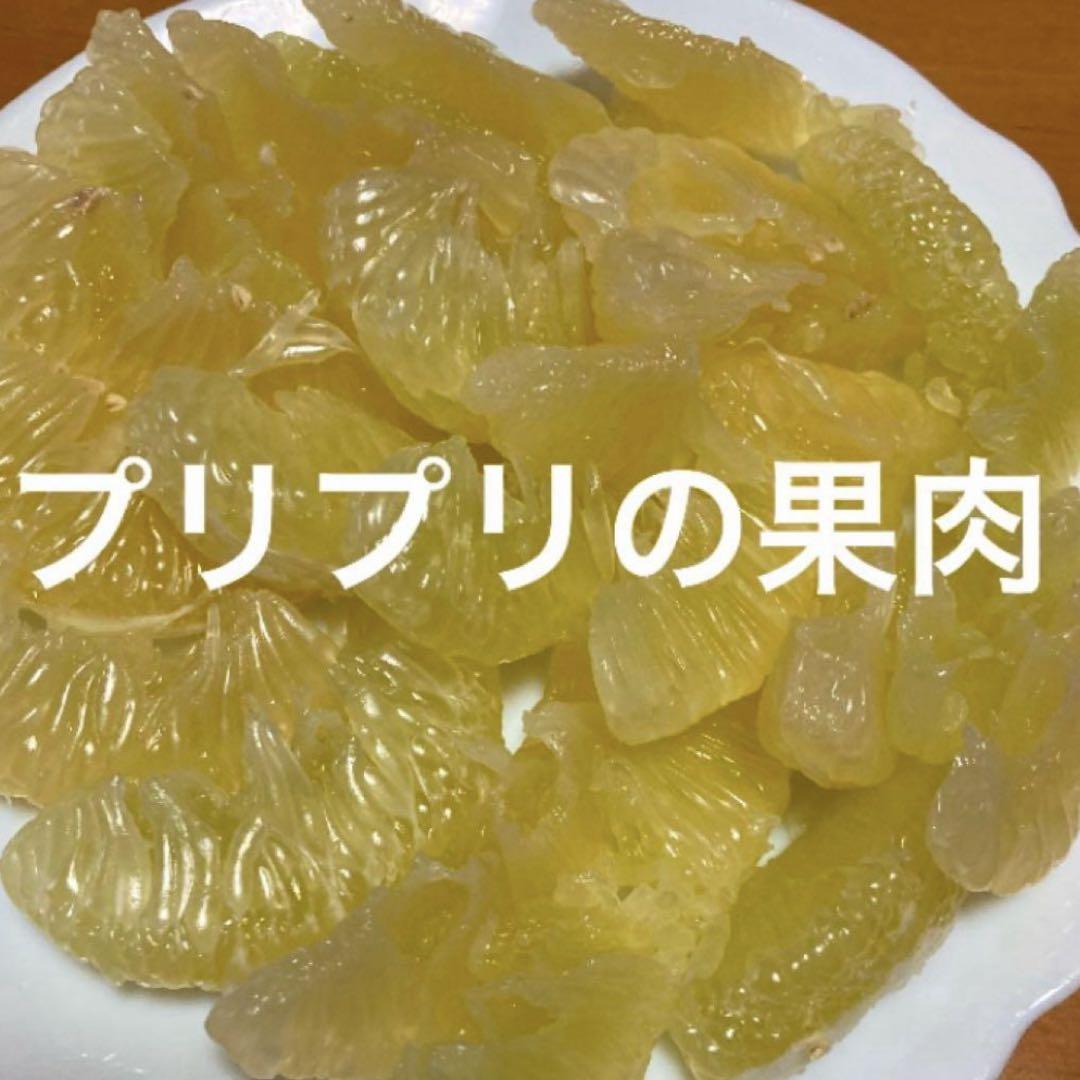 パール柑 3L以上 10kg生産者直送、農薬・化学肥料不使用❣️