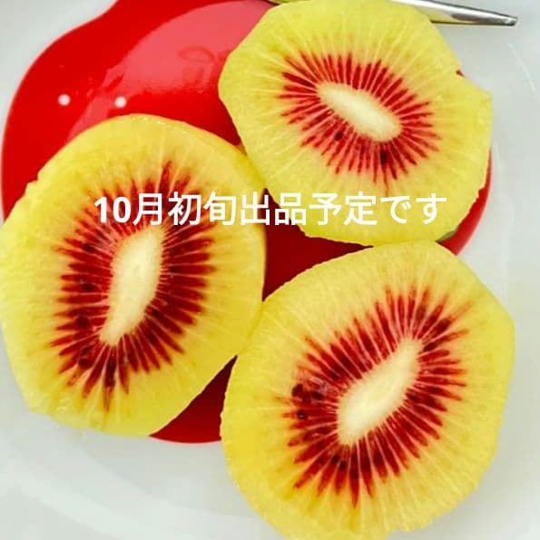 自然界天然生ハチミツ2種類　400g2本　日本蜜蜂　日本ミツバチはちみつ2年物